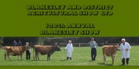 Blakesley Logo